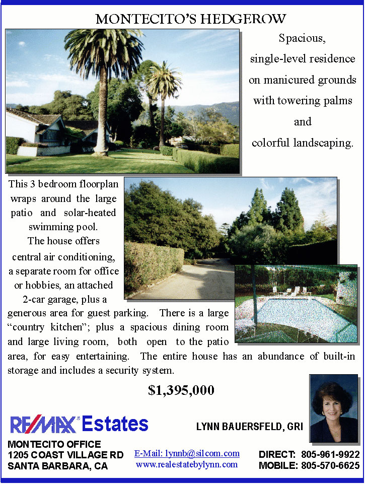 Graphics Design: Flyers Sample 1- Elena